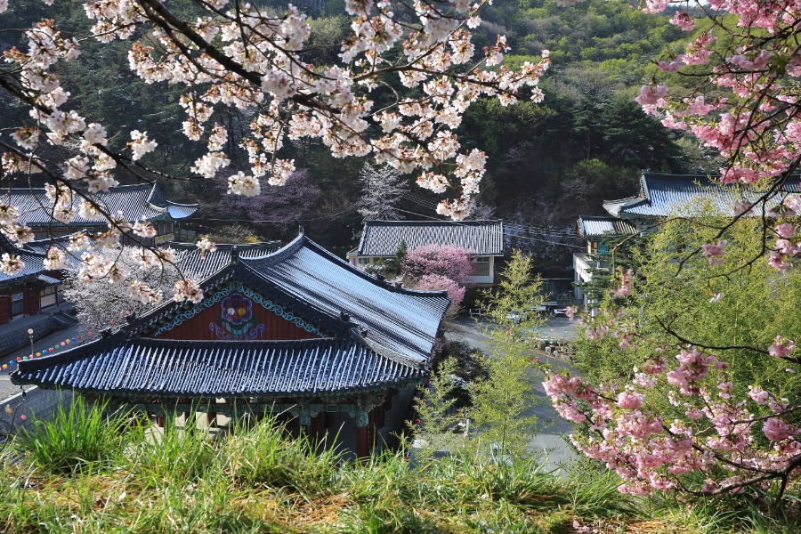 천안 동네별 세부 분석 &mdash; 행정동이 아니라 &lsquo;살아보면 갈리는 생활권&rsquo; 기준 정착 가이드
