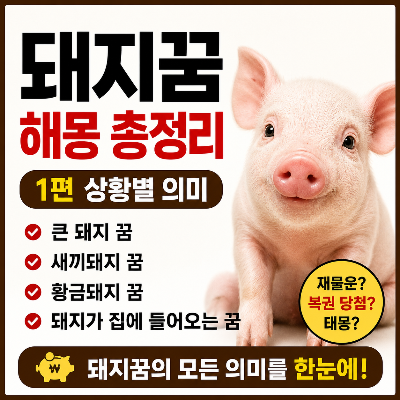 돼지꿈 해몽 총정리 1편 썸네일 이미지. 귀여운 분홍 돼지가 등장하며 큰 돼지 꿈, 새끼돼지 꿈, 황금돼지 꿈, 돼지가 집에 들어오는 꿈의 의미를 정리한 꿈해몽 콘텐츠.