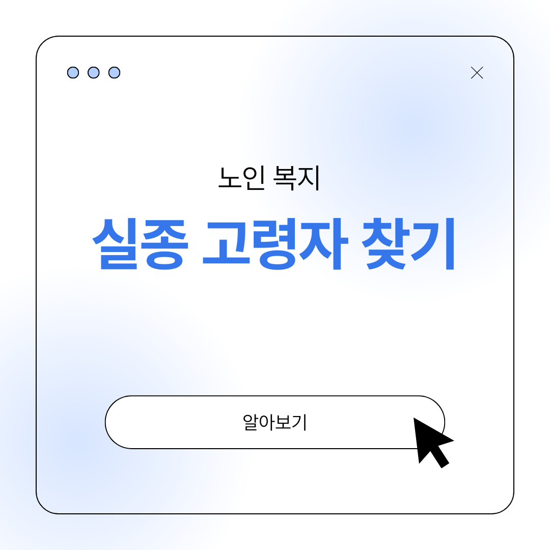실종 노인 찾기 정부 시스템