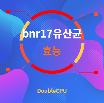 bnr17유산균 효능 탐구