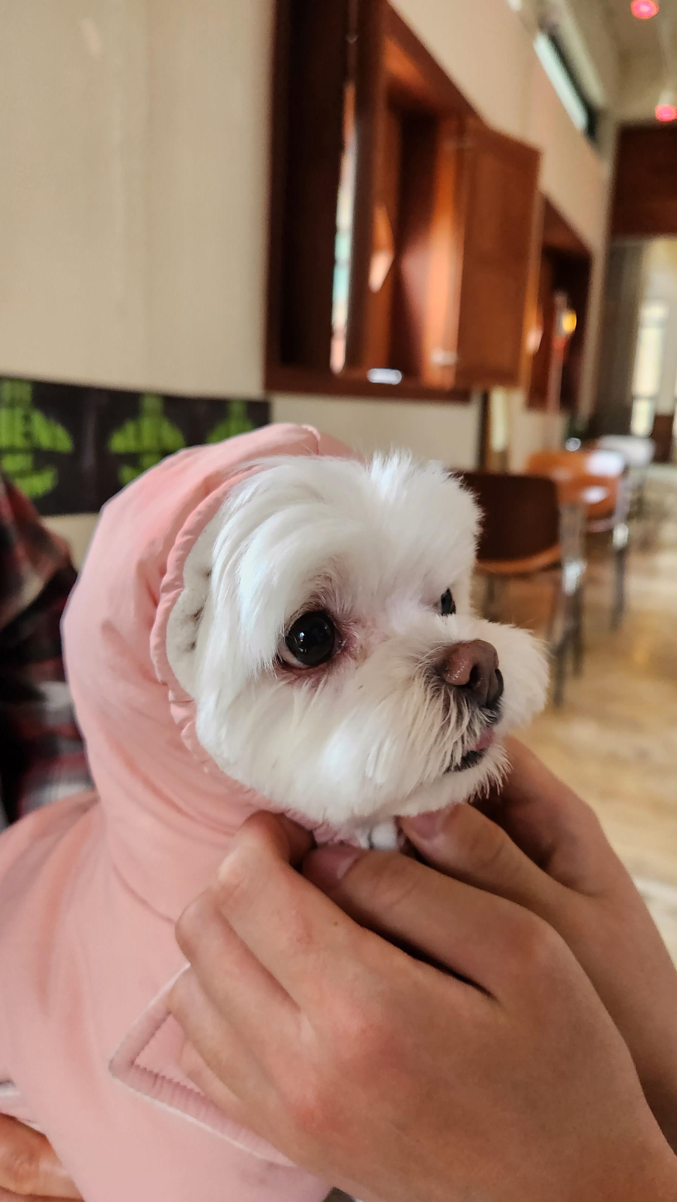 무공간