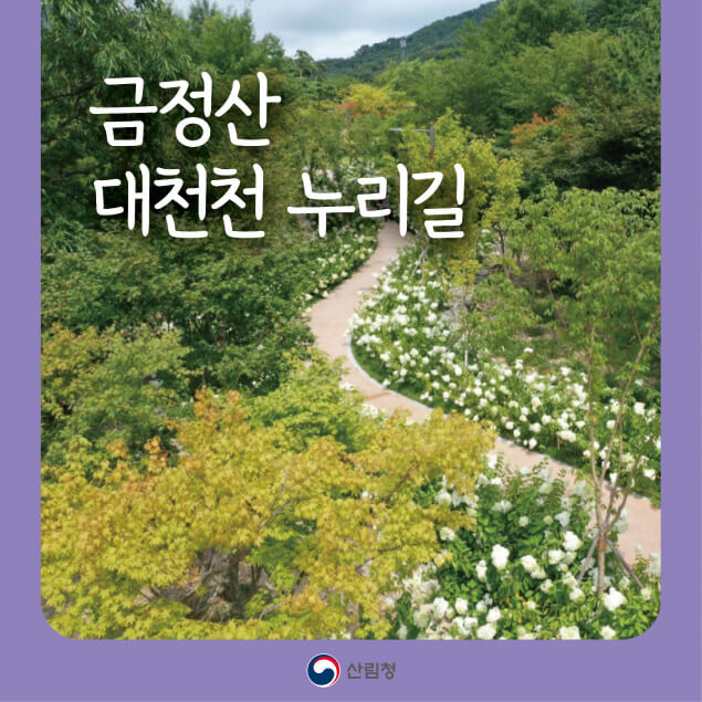 [명품숲길 50선] 부산 금정산 대천천 누리길, 억새·갈대와 철새가 어우러진 명품 숲길
