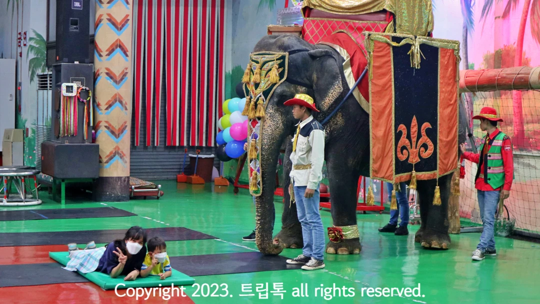 왼쪽에 두사람이 엎으려 있고 오른쪽에 코끼리가 서있다.