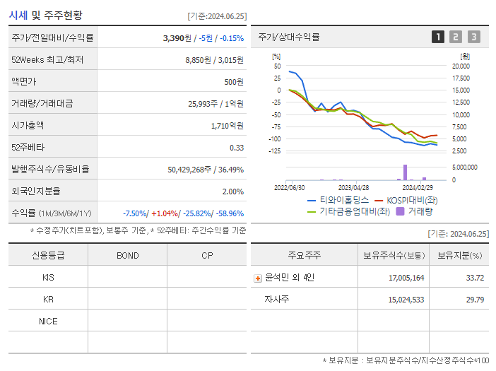 티와이홀딩스_기업개요