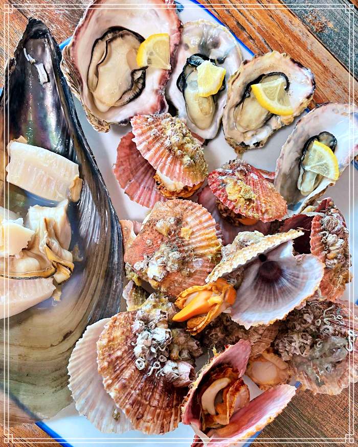 MBN 생생정보 마당 거제&#44; 거제도 선장님이 직접 잡은 제철 보리 오징어 요리 한상 맛집