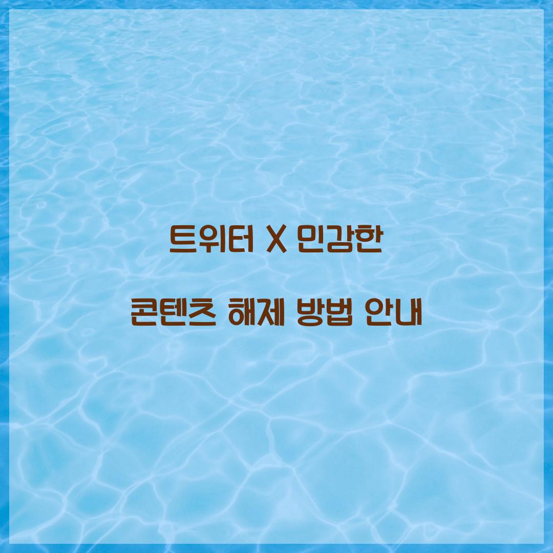 트위터 X 민감한 콘텐츠 해제