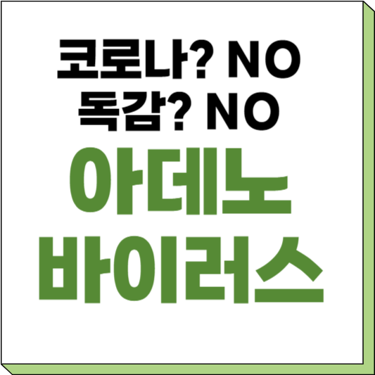 아데노 바이러스 증상