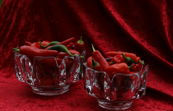 심는 간격과 방법 1