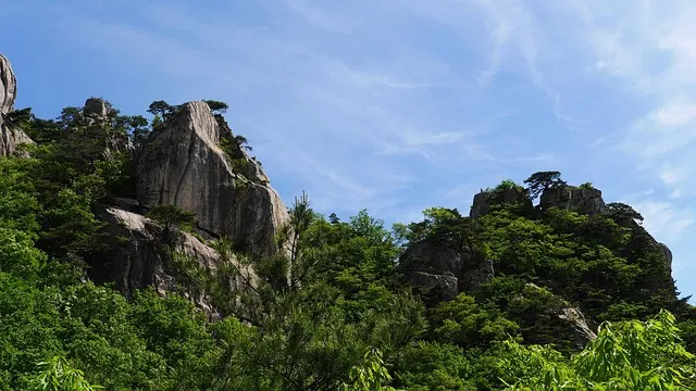대둔산 등산코스 상세 등산지도와 안전한 산행 팁 2025_7