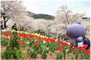안산벚꽃길