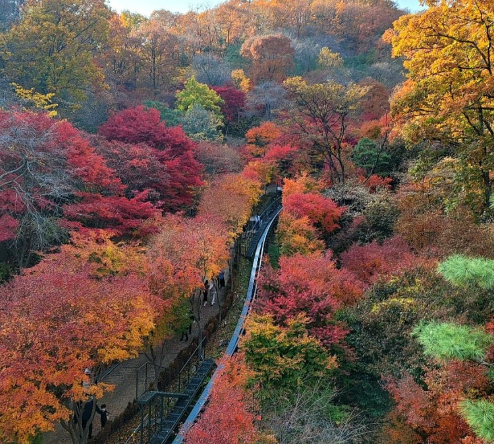 곤지암 화담숲 