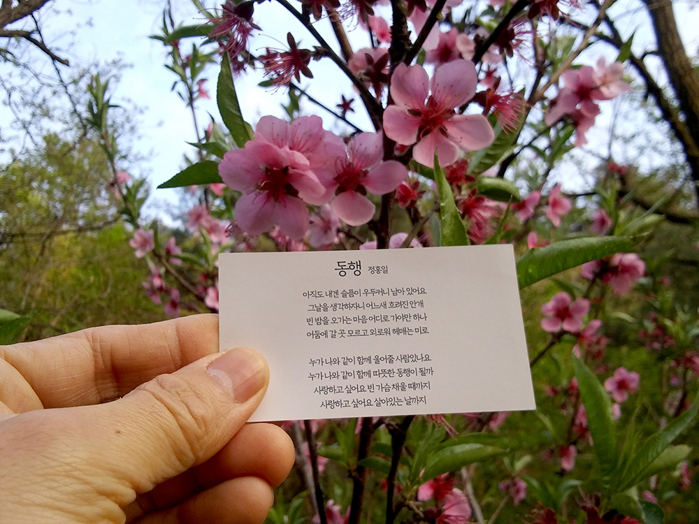 정홍일(JeongHongIl)의 &#39;동행&#39;