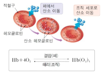 뇌졸중과 심근경색