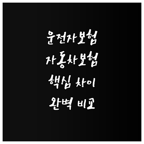운전자보험 vs 자동차보험 핵심 차이