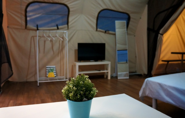 속초 밤하늘글램핑