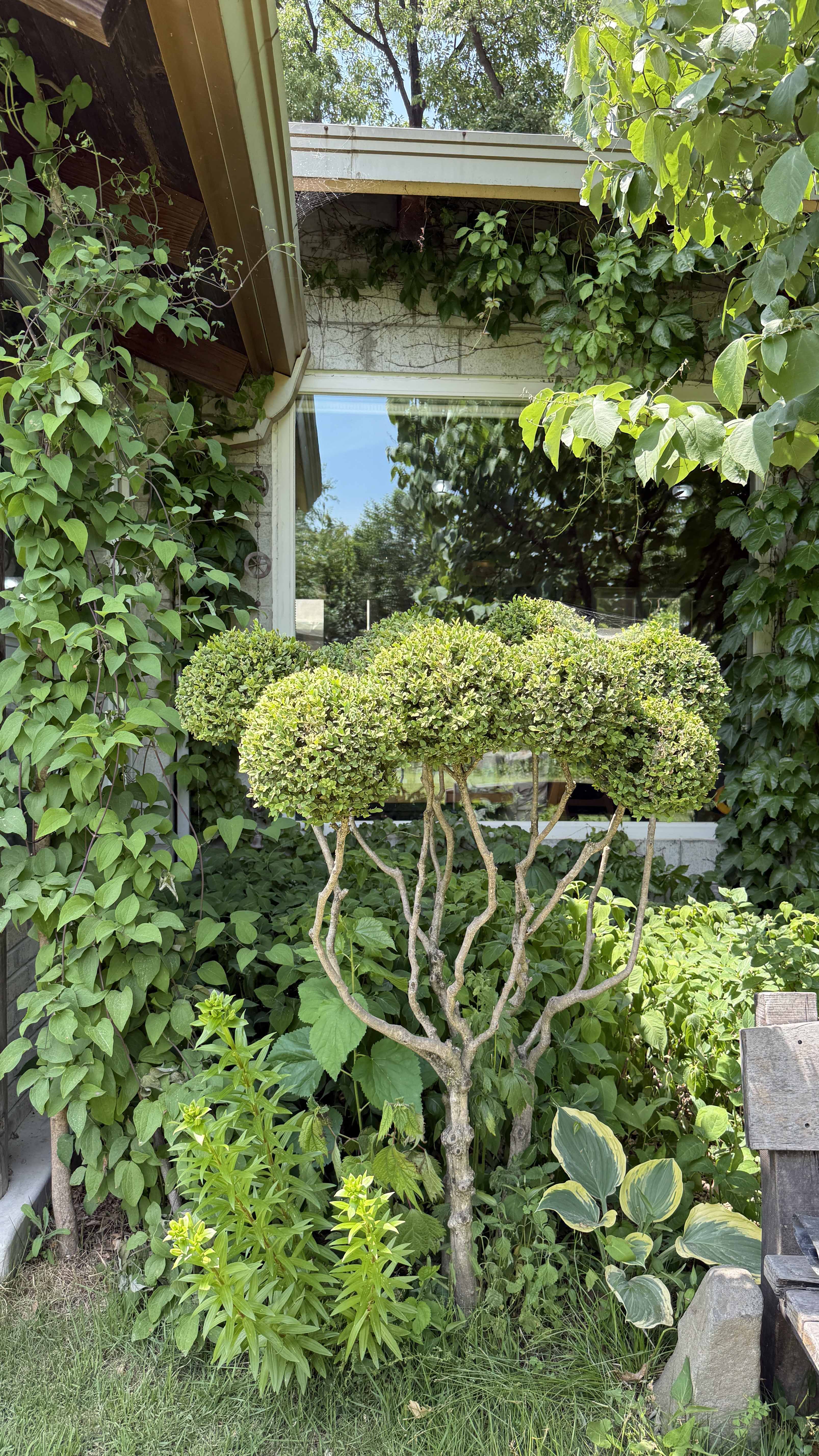 강원도 횡성 맛집_채림의 정원