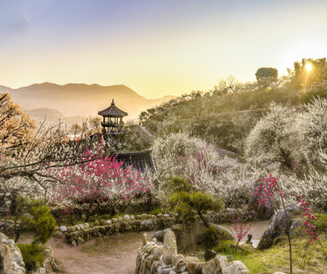 광양 매화축제 숙박