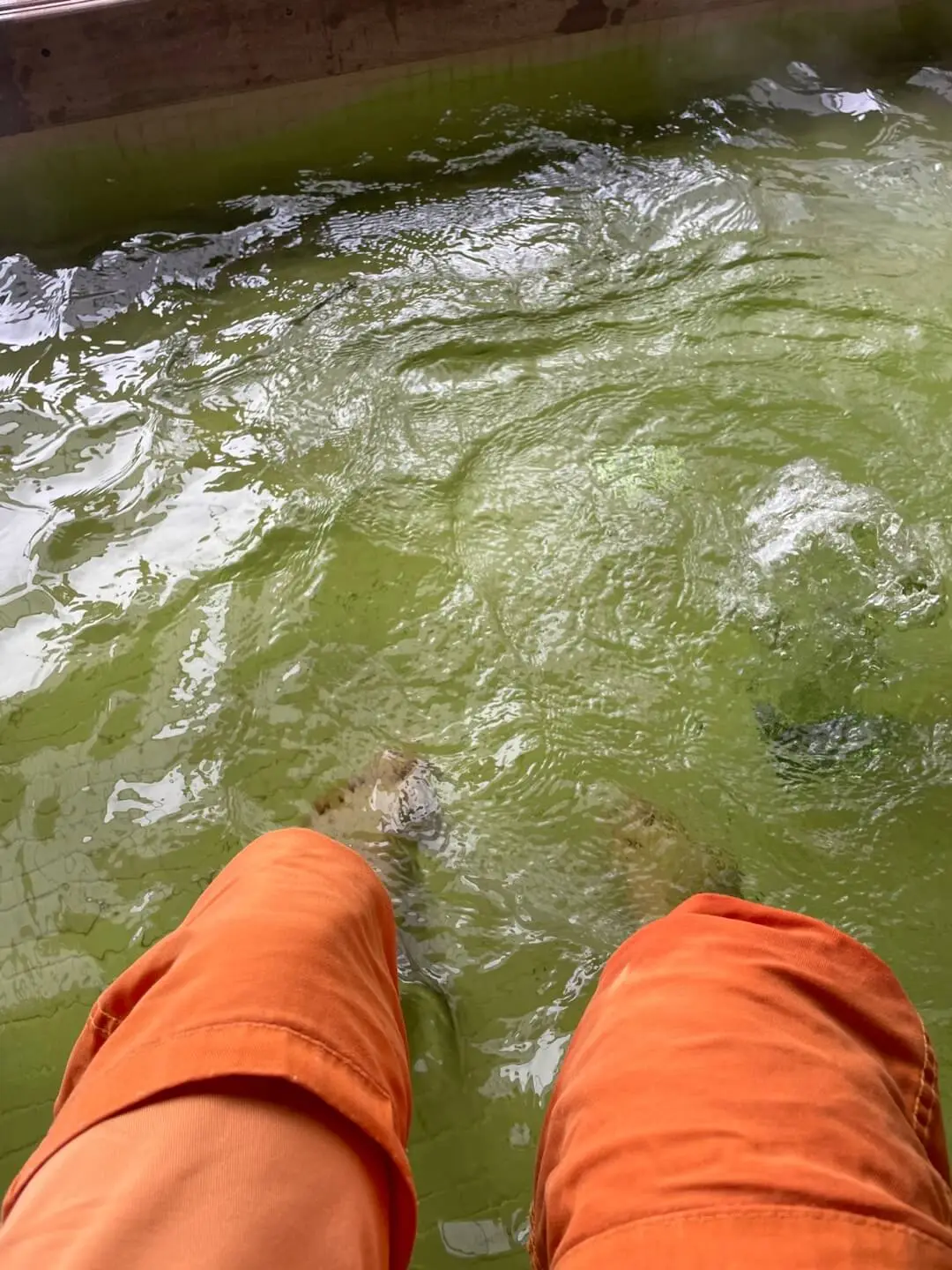 오감 테라피실 방향