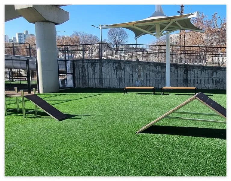 동대문구 중랑천 반려견 놀이터