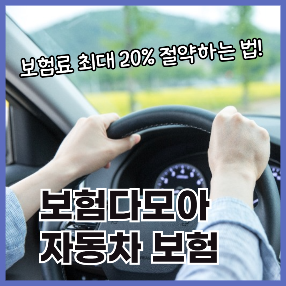 자동차보험