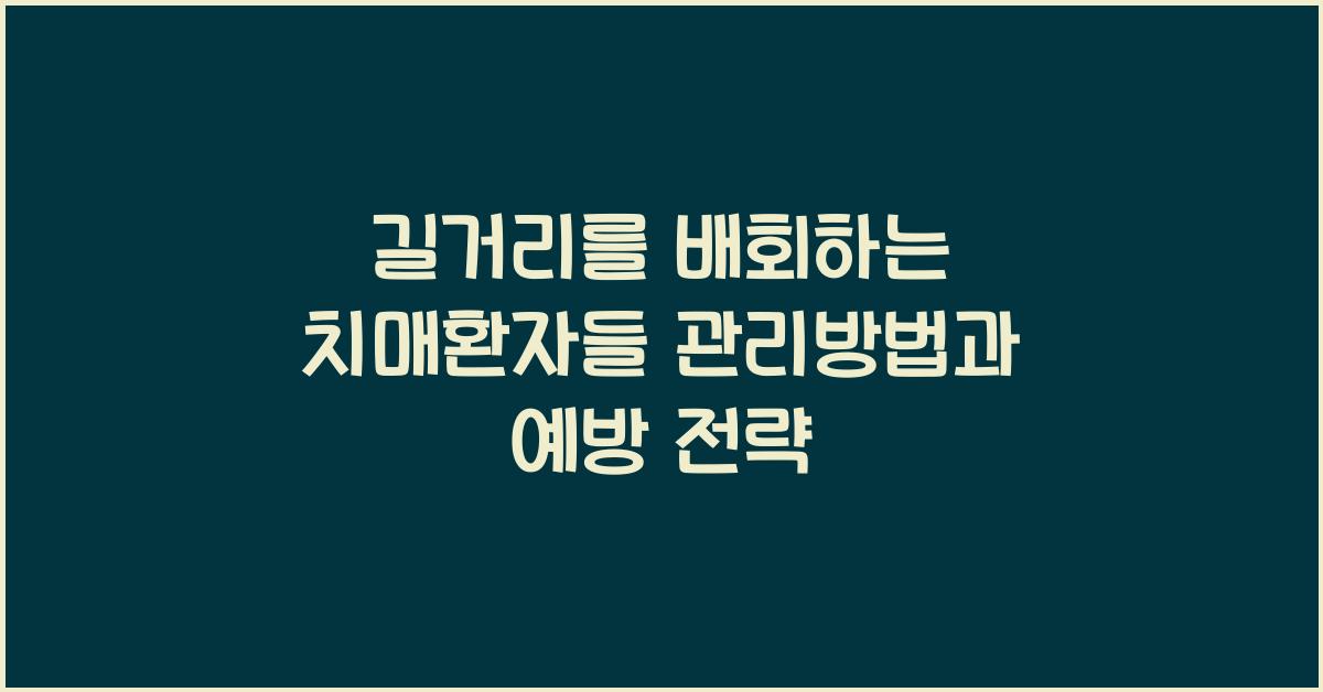길거리를 배회하는 치매환자들 관리방법