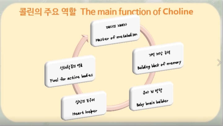 콜린 역할