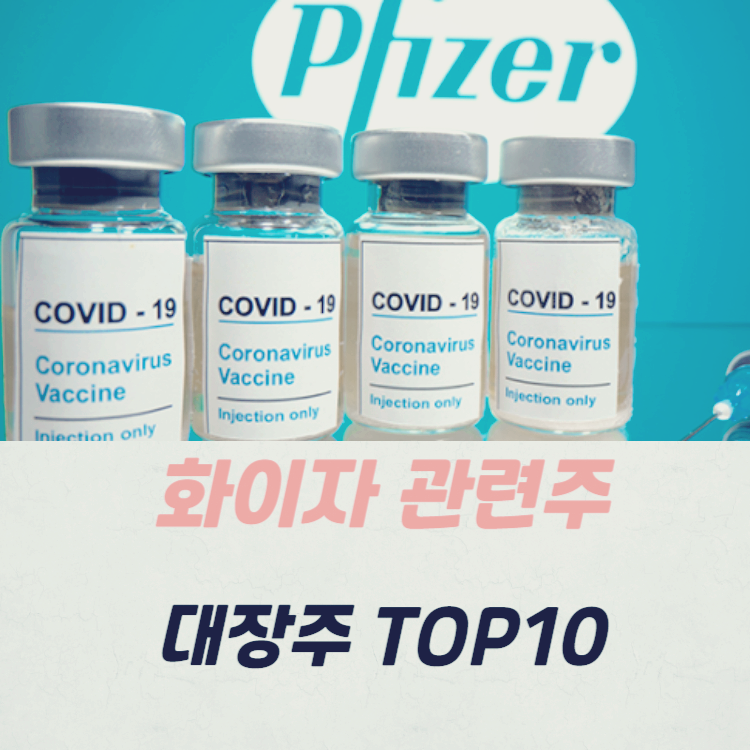 화이자 관련주 대장주 TOP10