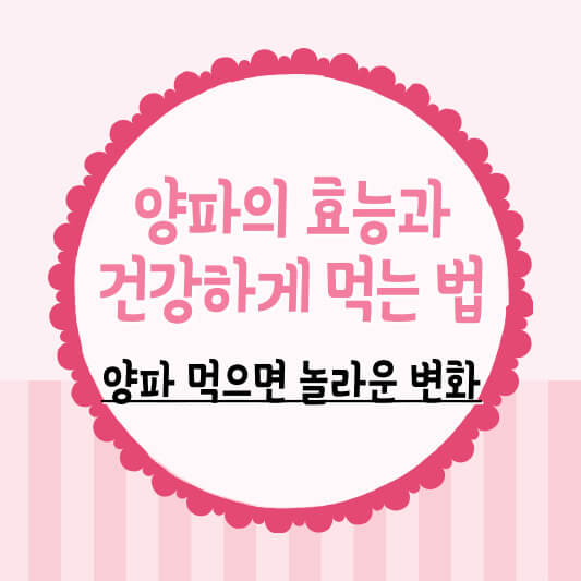 양파효능