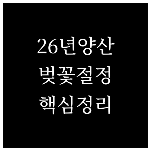 2026년 양산 벚꽃 절정 시기 황산..