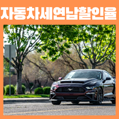 자동차세연납할인율