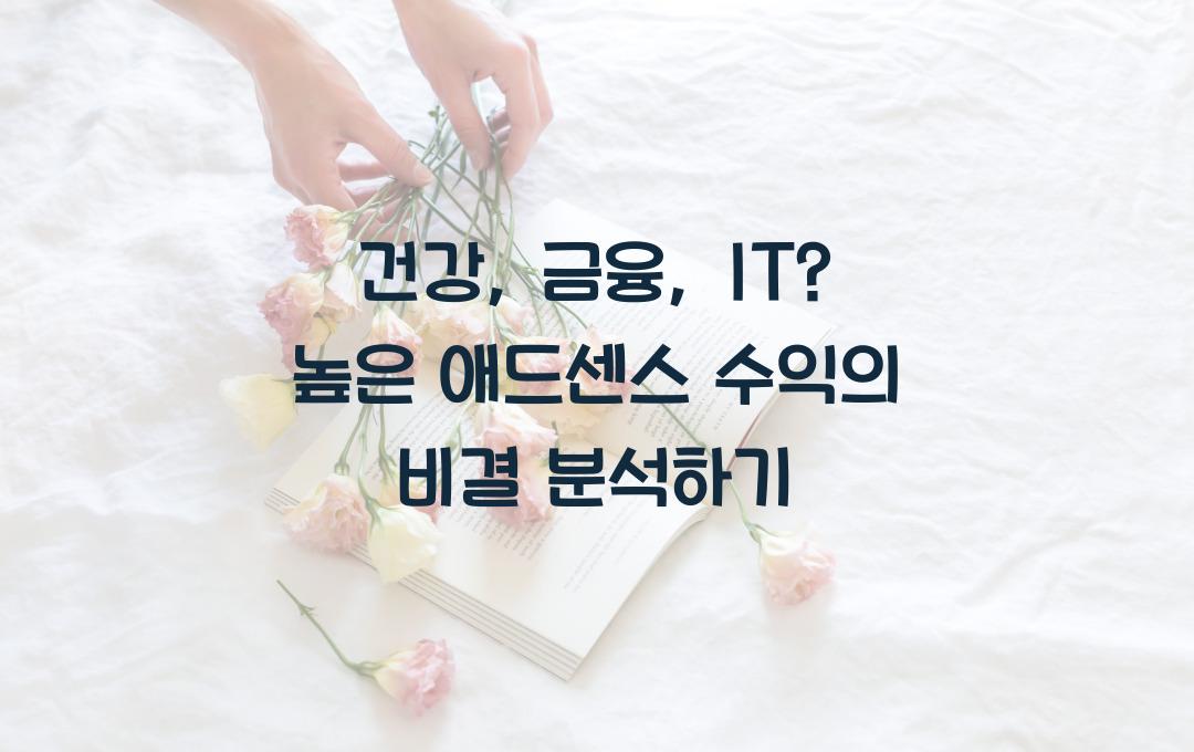건강, 금융, IT? 애드센스 수익이 가장 높은 블로그 카테고리는?