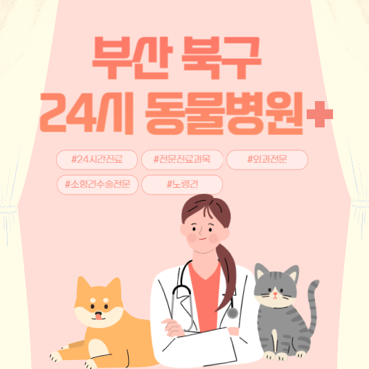 부산 북구 24시 동물병원