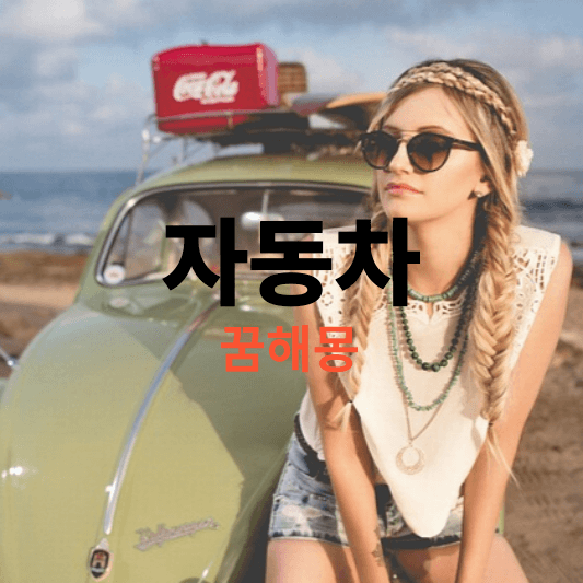 자동차 꿈해몽, 꿈에 자동차가 나오면 좋은 꿈입니다! 하지만 흉몽도 있습니다.