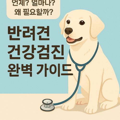 반려견 건강검진의 모든 것: 시기, 비용, 중요성 완벽 가이드