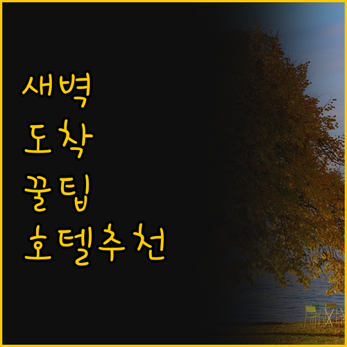 새벽에 도착하는 당신을 위한 홍콩 공..