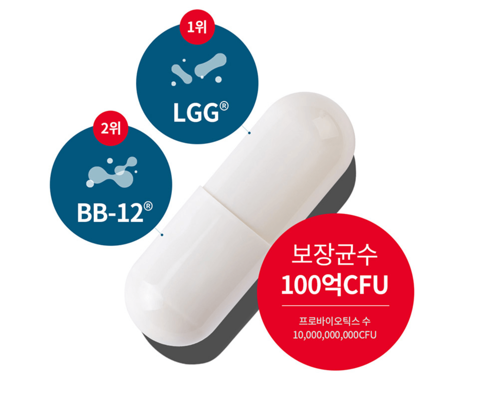 덴프스 장점