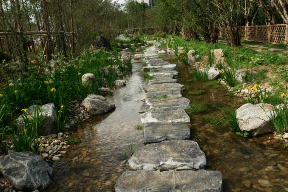 세미원 연꽃문화제