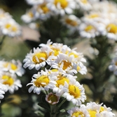 2025년 포토존 여행지 베스트