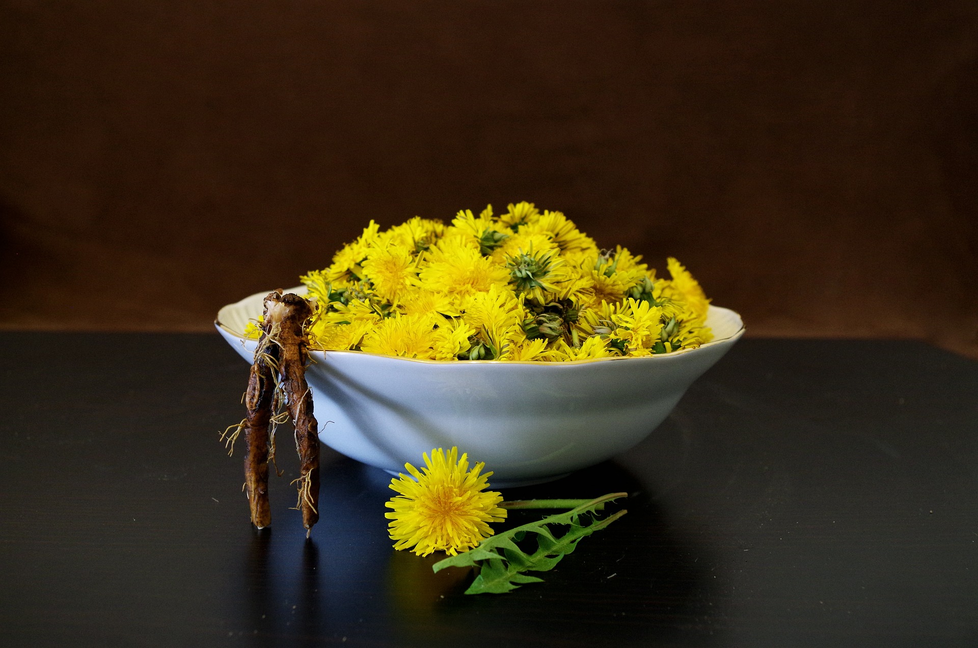 야생에서 채취를 한 민들레의 꽃과 뿌리를 검은 바닥 위에 동그랗고 흰 유리그릇에 꽃을 가득 담아 놓고 그 앞에는 뿌리를 세워 놓고, 그 옆에는 민들레 꽃과 줄기를 눕혀놓고 찍은 사진