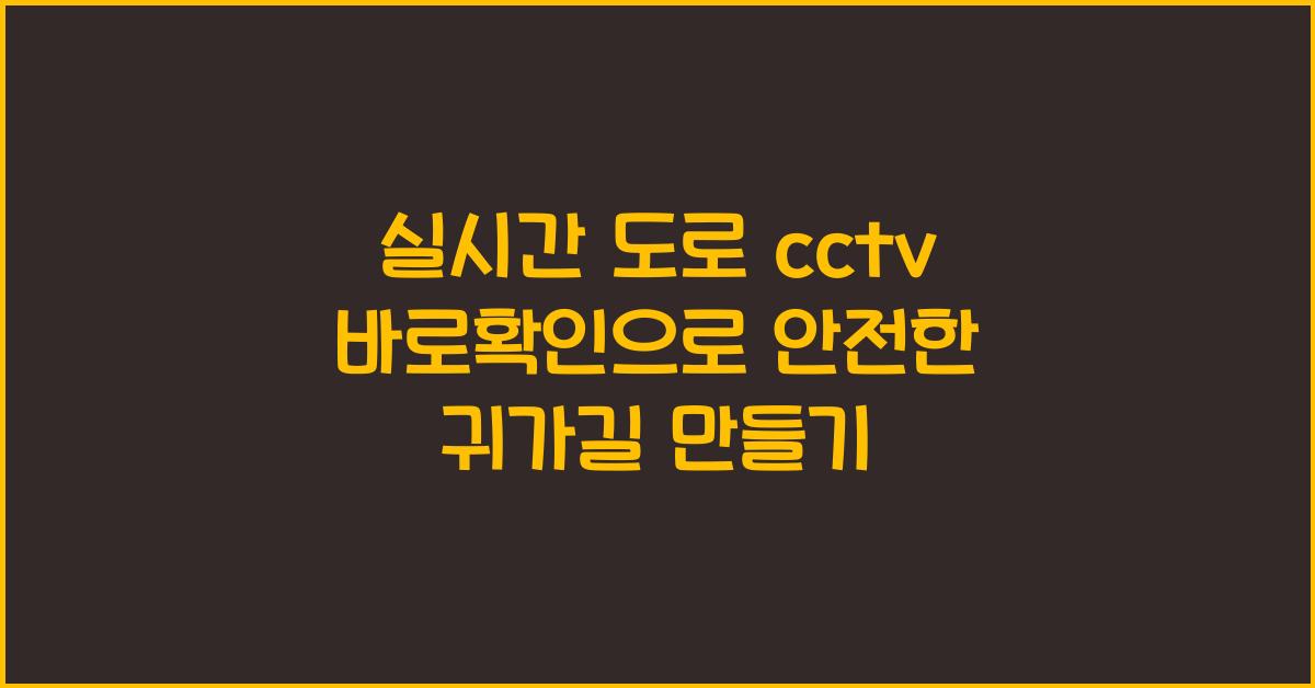 실시간 도로 cctv 바로확인