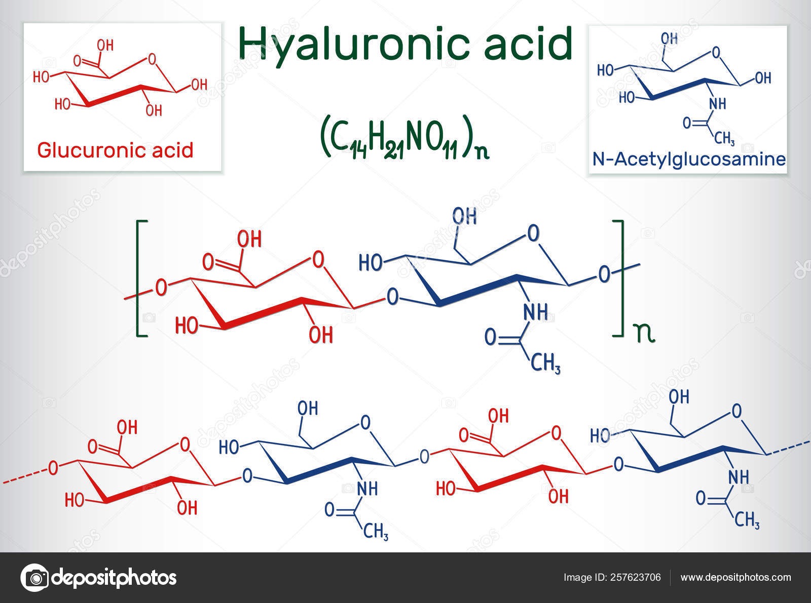 히알루론산 화학구조식
