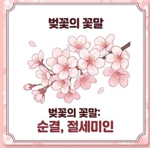 구미 벚꽃