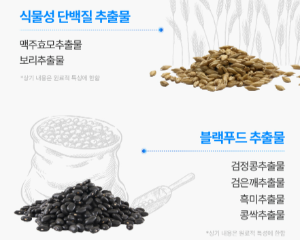 탈모앰플 닥터33
