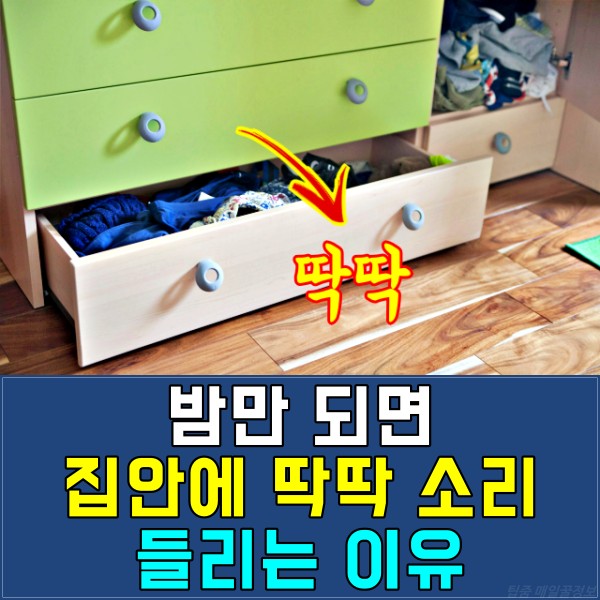 딱딱 소리 원인, 생활 팁줌 매일꿀정보
