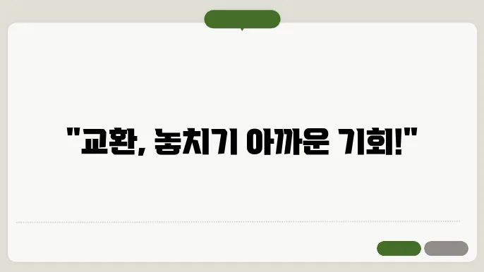 비교와 대조