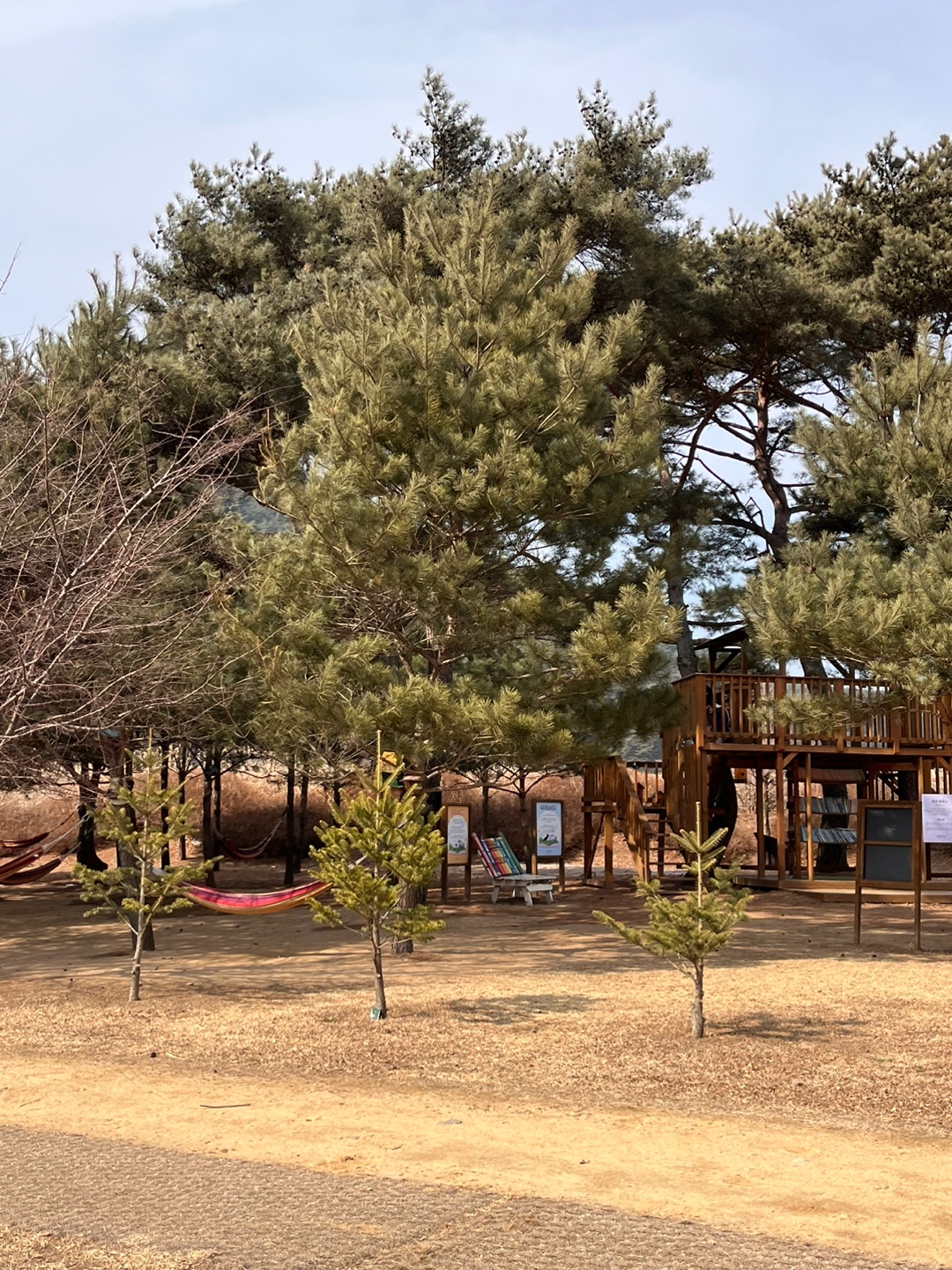 켄싱턴호텔