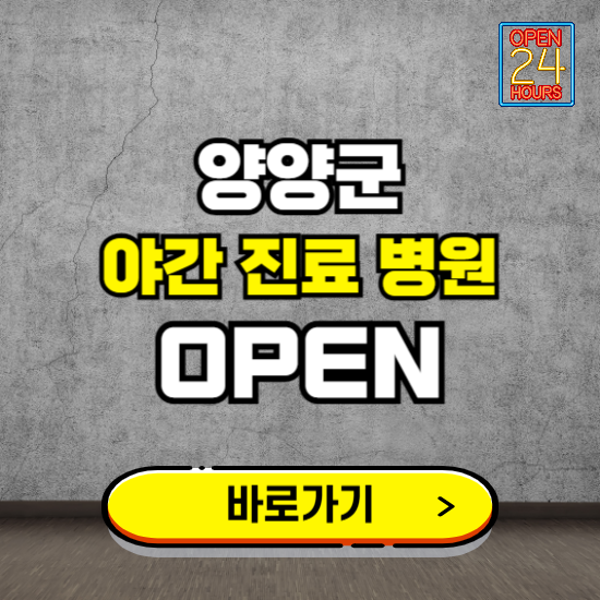 강원 양양군 야간진료 병원 찾기 ❘ 24시 심야 밤 늦게 여는 병원