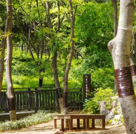 은평구 봉산 무장애숲길