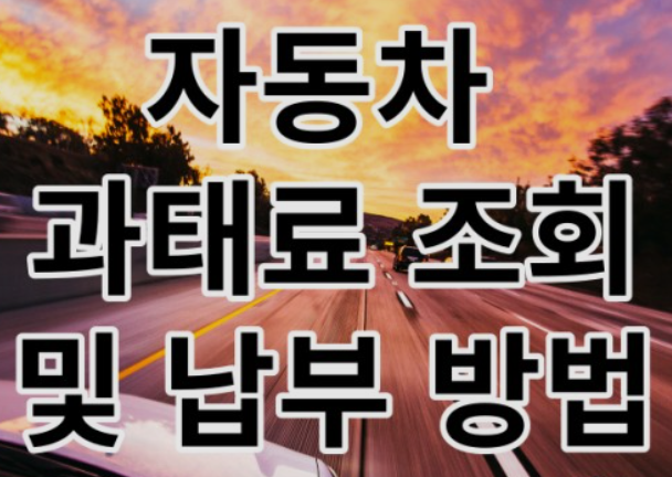 자동차-과태료-조회