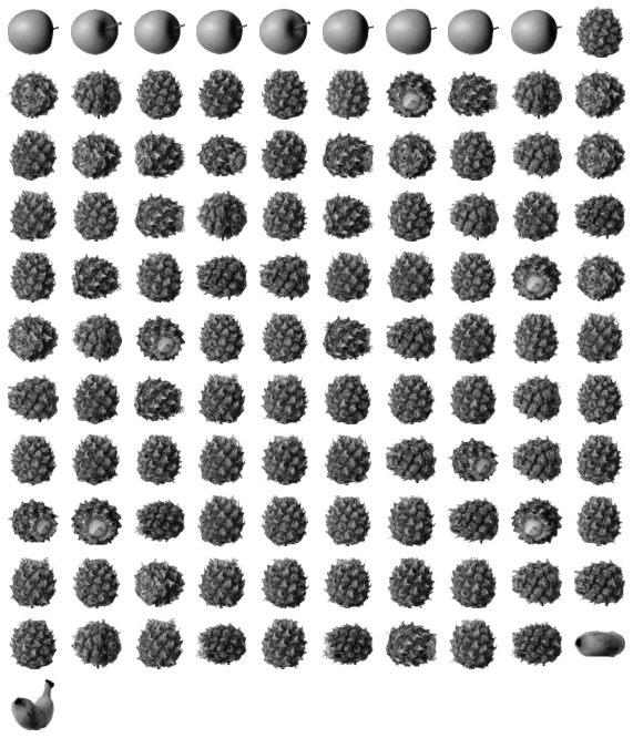 label 1로 분류된 과일 이미지